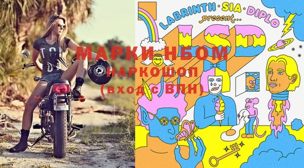 гидра Армянск